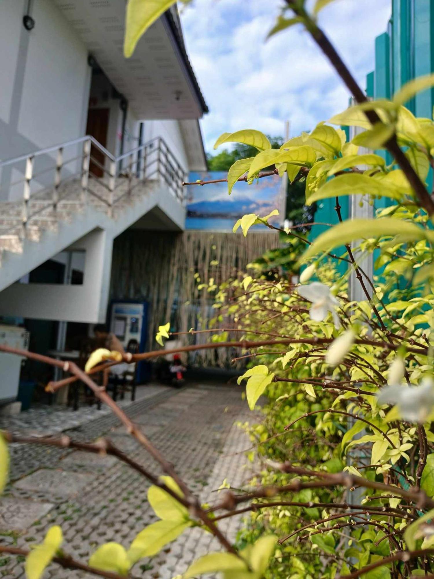 Хостел Sakura House Чиангмай Экстерьер фото